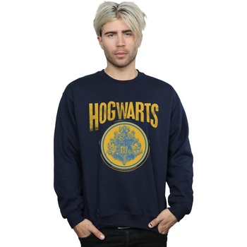 Vêtements Homme Sweats Harry Potter Hogwarts Circle Crest Bleu