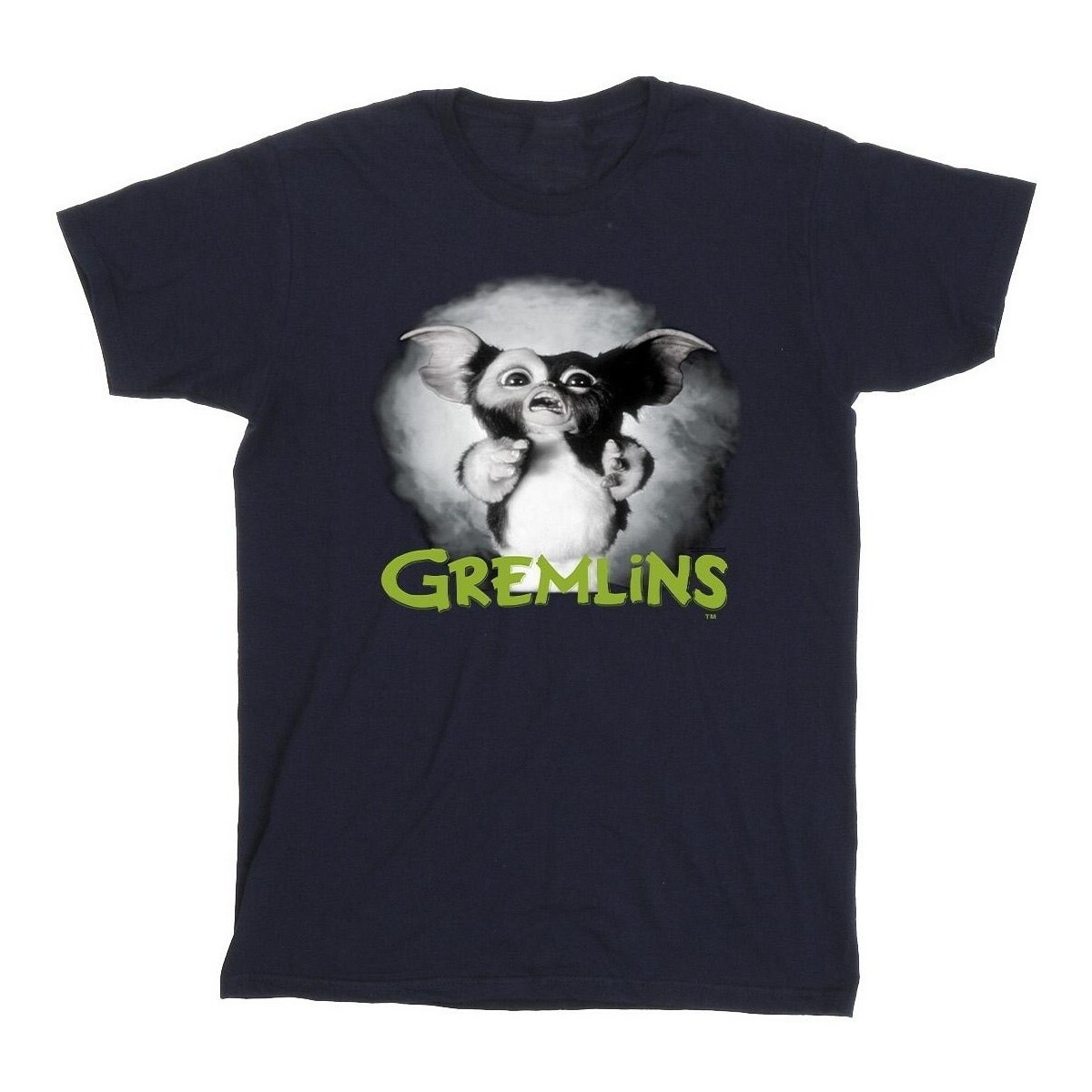 Vêtements Homme T-shirts manches longues Gremlins Scared Green Bleu