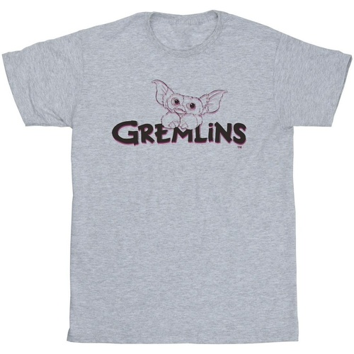 Vêtements Homme T-shirts manches longues Gremlins  Gris