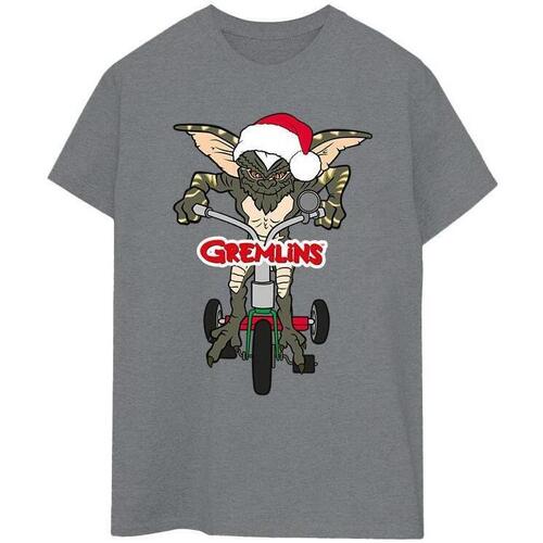 Vêtements Homme T-shirts Norse manches longues Gremlins Bike Logo Gris