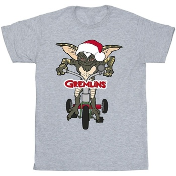 Vêtements Homme Enfant 2-12 ans Gremlins Bike Logo Gris
