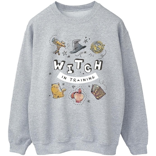 Vêtements Homme Sweats Harry Potter Witch In Training Gris