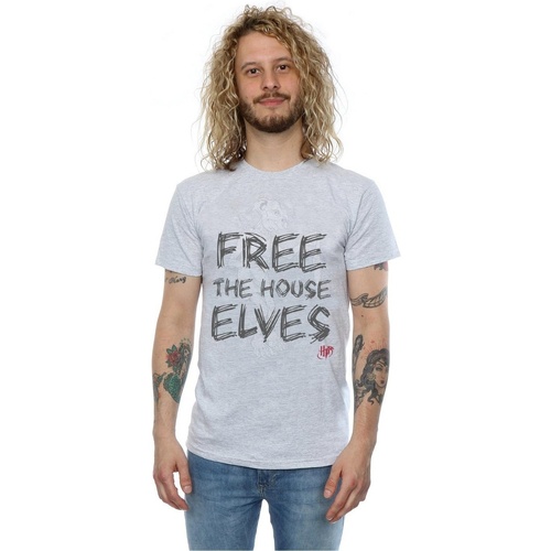 Vêtements Homme T-shirts manches longues Harry Potter Dobby Free The House Elves Gris