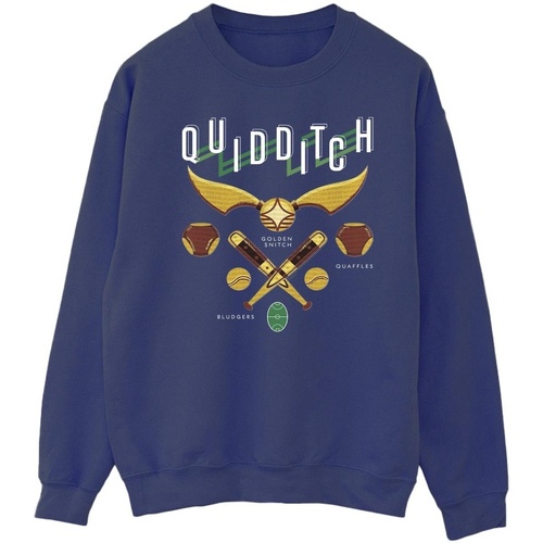 Vêtements Homme Sweats Harry Potter Quidditch Bludgers Quaffles Bleu