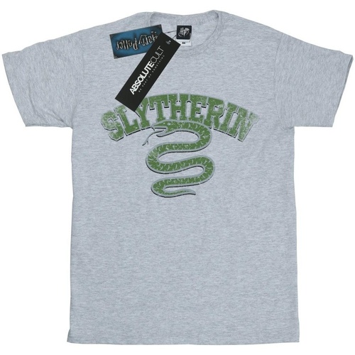 Vêtements Homme T-shirts manches longues Harry Potter Slytherin Sport Emblem Gris