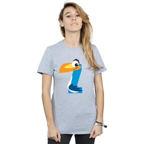 Vêtements Femme T-shirts manches longues Disney Alphabet Z Is For Zazu Gris
