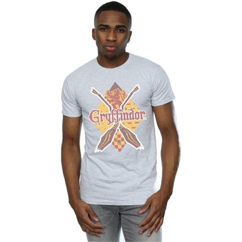 Vêtements Homme T-shirts manches longues Harry Potter Gryffindor Lozenge Gris