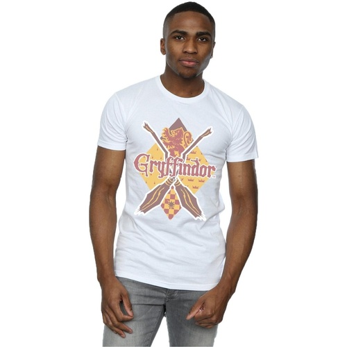 Vêtements Homme T-shirts manches longues Harry Potter Gryffindor Lozenge Blanc