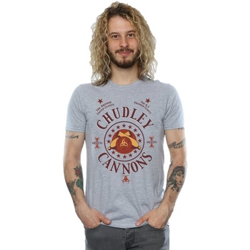 Vêtements Homme T-shirts manches longues Harry Potter Kennel + Schmeng Gris