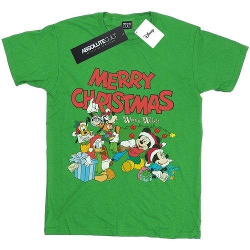 Vêtements Fille T-shirts manches longues Disney Mickey And Friends Winter Wishes Vert