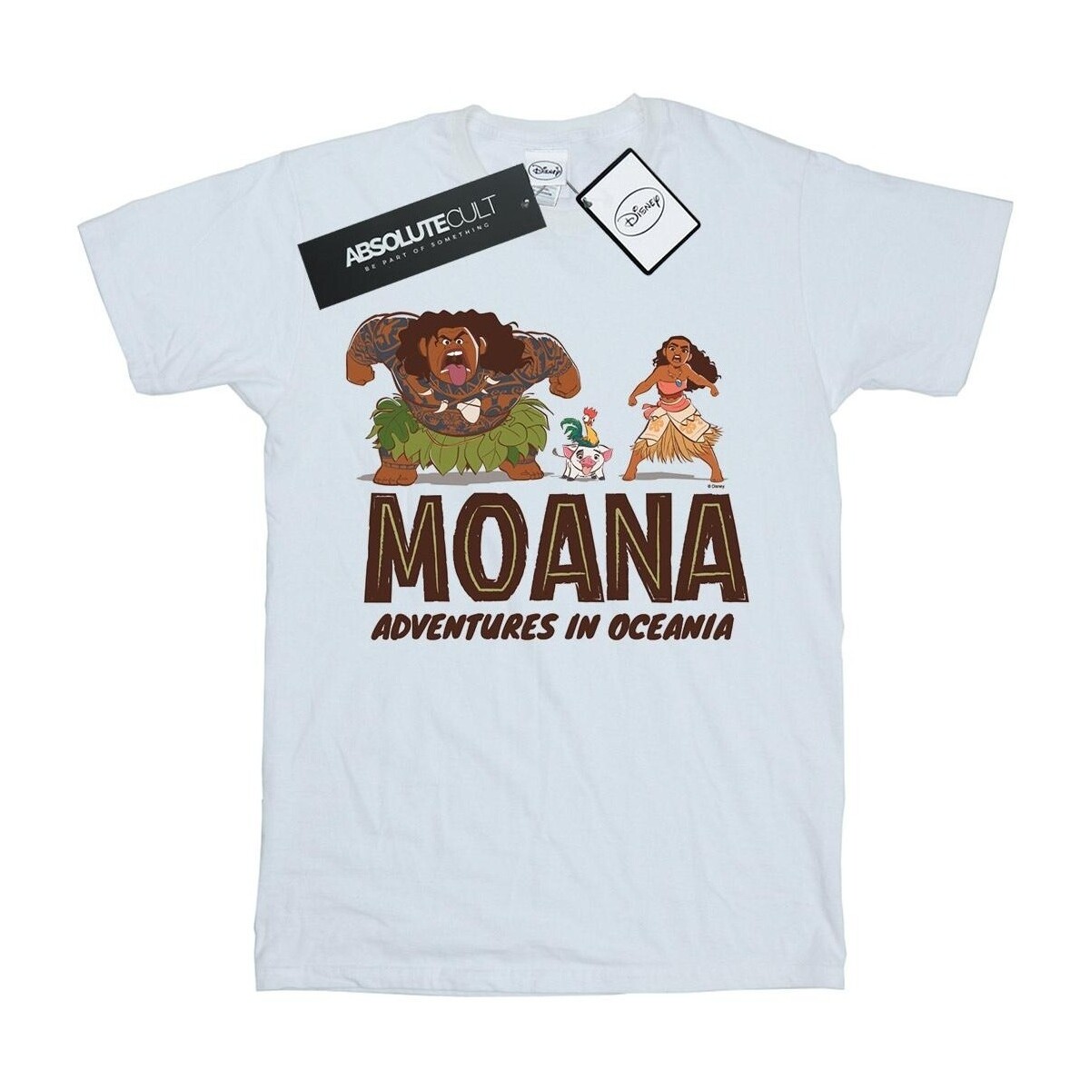 Vêtements Garçon T-shirts manches courtes Disney Moana Adventures in Oceania Blanc