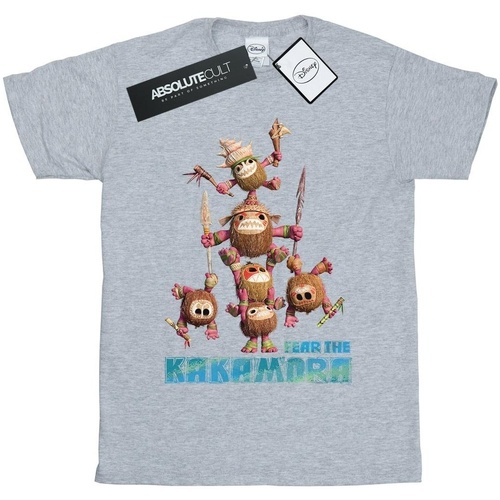 Vêtements Garçon T-shirts manches courtes Disney Moana Fear The Kakamora Gris