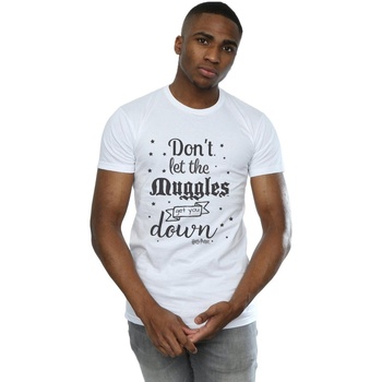 Vêtements Homme T-shirts manches longues Harry Potter Don't Let The Muggles Blanc