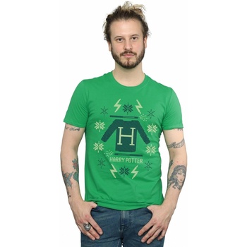 Vêtements Homme T-shirts manches longues Harry Potter Christmas Knit Vert