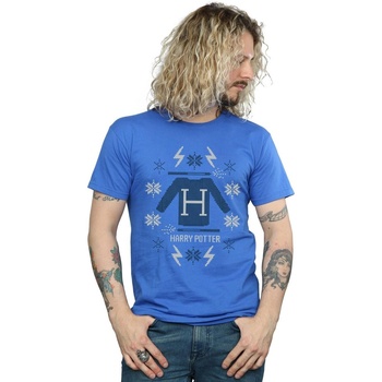 Vêtements Homme T-shirts manches longues Harry Potter Christmas Knit Bleu