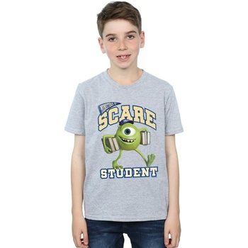 Vêtements Garçon T-shirts manches courtes Disney Monsters University Scare Student Gris