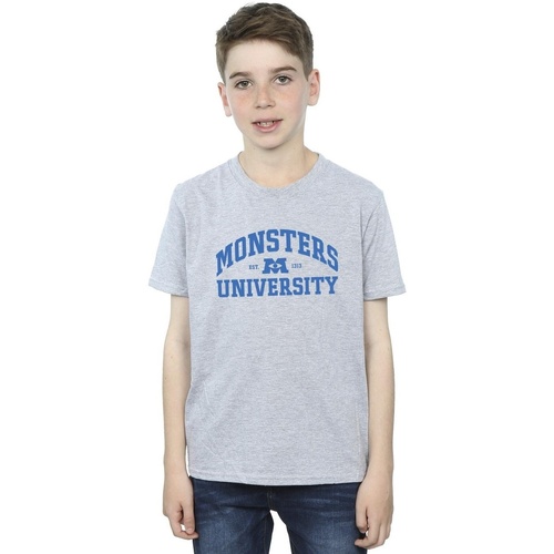 Vêtements Garçon T-shirts manches courtes Disney Monsters University Logo Gris