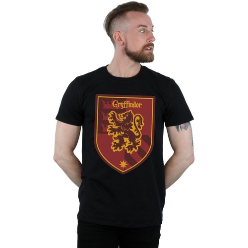 Vêtements Homme T-shirts manches longues Harry Potter Gryffindor Crest Flat Noir