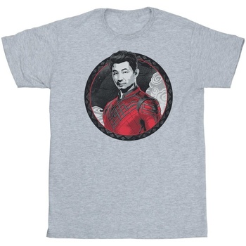Vêtements Garçon T-shirts manches courtes Marvel Shang-Chi And The Legend Of The Ten Rings Red Ring Gris