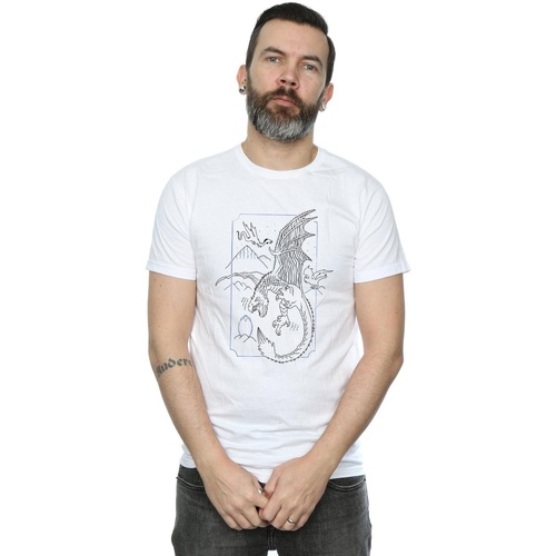 Vêtements Homme T-shirts manches longues Harry Potter Dragon Line Art Blanc