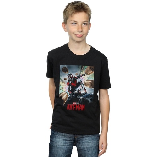 Vêtements Garçon T-shirts manches courtes Marvel Studios Ant-Man Poster Noir