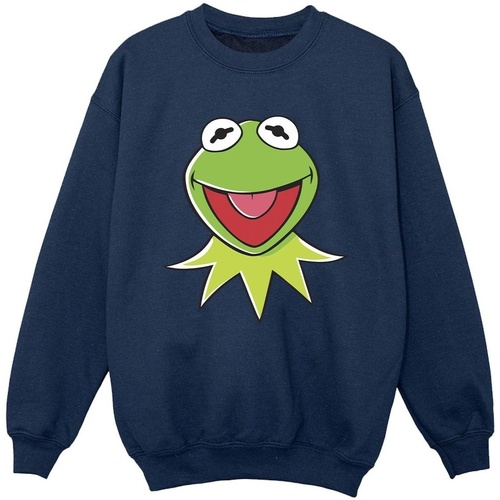 Vêtements Garçon Sweats Disney Muppets Kermit Head Bleu