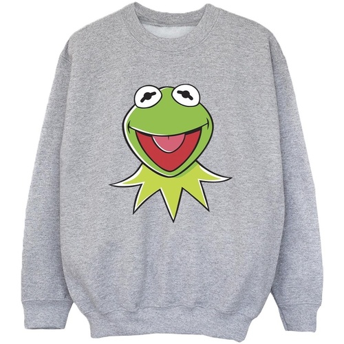 Vêtements Garçon Sweats Disney Muppets Kermit Head Gris
