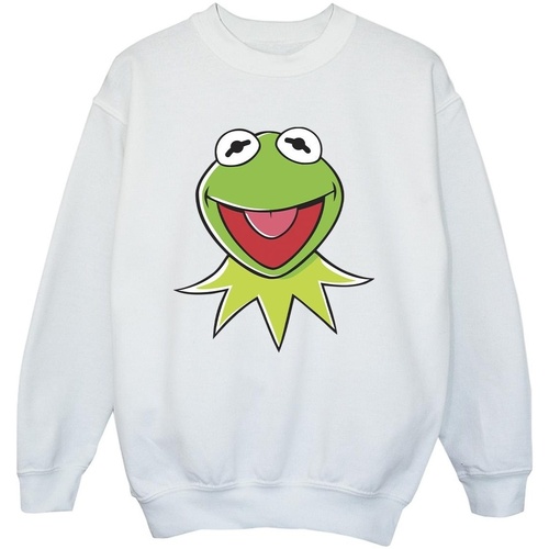 Vêtements Garçon Sweats Disney Muppets Kermit Head Blanc
