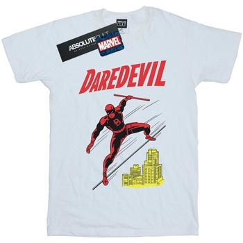 Vêtements Garçon T-shirts manches courtes Marvel Daredevil Rooftop Blanc