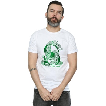 Vêtements Homme T-shirts manches longues Harry Potter Slytherin Snake Blanc