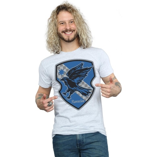Vêtements Homme T-shirts manches longues Harry Potter Ravenclaw Crest Flat Gris