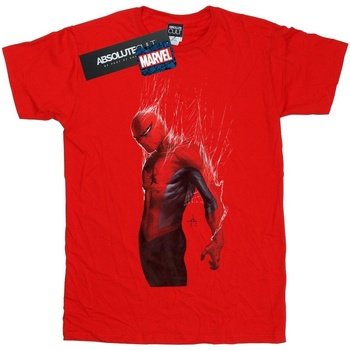 Vêtements Garçon T-shirts manches courtes Marvel Spider-Man Web Wrap Rouge