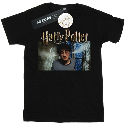 Vêtements Homme T-shirts manches longues Harry Potter Steam Ears Noir