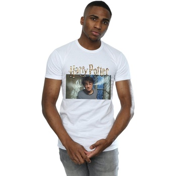 Vêtements Homme T-shirts manches longues Harry Potter Steam Ears Blanc