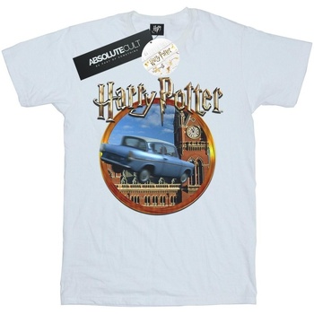 Vêtements Homme T-shirts manches longues Harry Potter Flying Car Blanc
