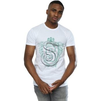 Vêtements Homme T-shirts manches longues Harry Potter Slytherin Serpent Crest Blanc