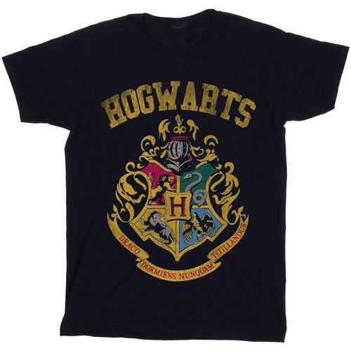 Vêtements Homme T-shirts manches longues Harry Potter Hogwarts Varsity Bleu