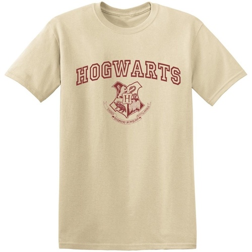 Vêtements Homme T-shirts manches longues Harry Potter Hogwarts Crest Multicolore