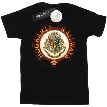Vêtements Homme T-shirts manches longues Harry Potter Hogwarts Rail Noir