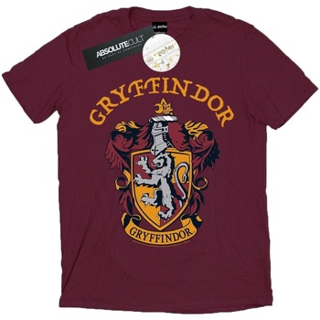 Vêtements Homme T-shirts manches longues Harry Potter Gryffindor Crest Multicolore