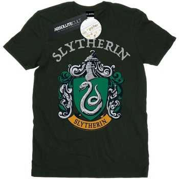 Vêtements Homme T-shirts manches longues Harry Potter Slytherin Crest Vert