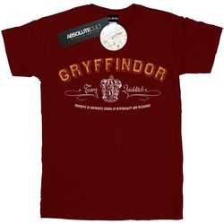 Vêtements Homme T-shirts manches longues Harry Potter Gryffindor Team Quidditch Multicolore