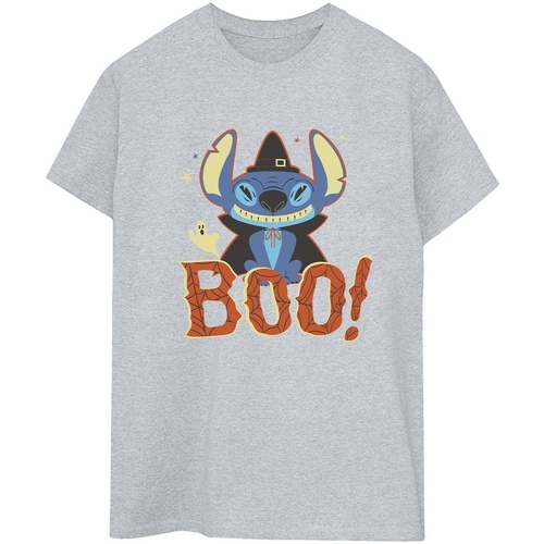 Vêtements Femme T-shirts manches longues Disney Lilo & Stitch Boo! Gris