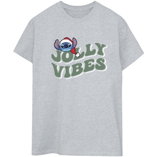 Vêtements Femme T-shirts manches longues Disney Lilo & Stitch Jolly Chilling Vibes Gris