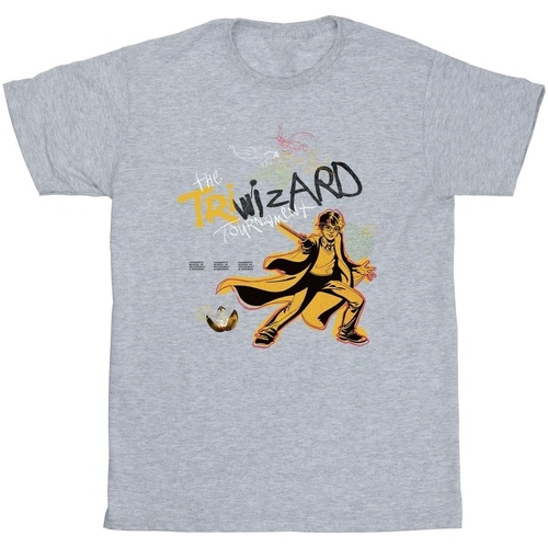 Vêtements Homme T-shirts manches longues Harry Potter Triwizard Poster Gris