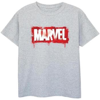Vêtements Garçon T-shirts manches courtes Avengers, The (Marvel) Brick Spray Logo Gris