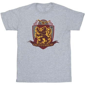 Vêtements Homme T-shirts manches longues Harry Potter Gryffindor Chest Badge Gris