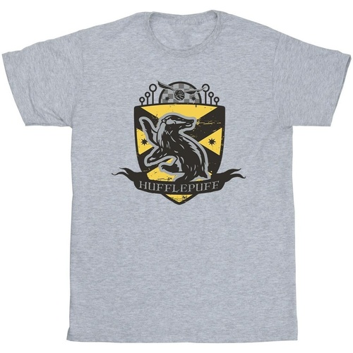Vêtements Homme T-shirts manches longues Harry Potter Hufflepuff Chest Badge Gris