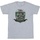 Vêtements Homme T-shirts manches longues Harry Potter Slytherin Chest Badge Gris