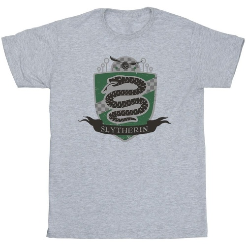 Vêtements Homme T-shirts manches longues Harry Potter Slytherin Chest Badge Gris